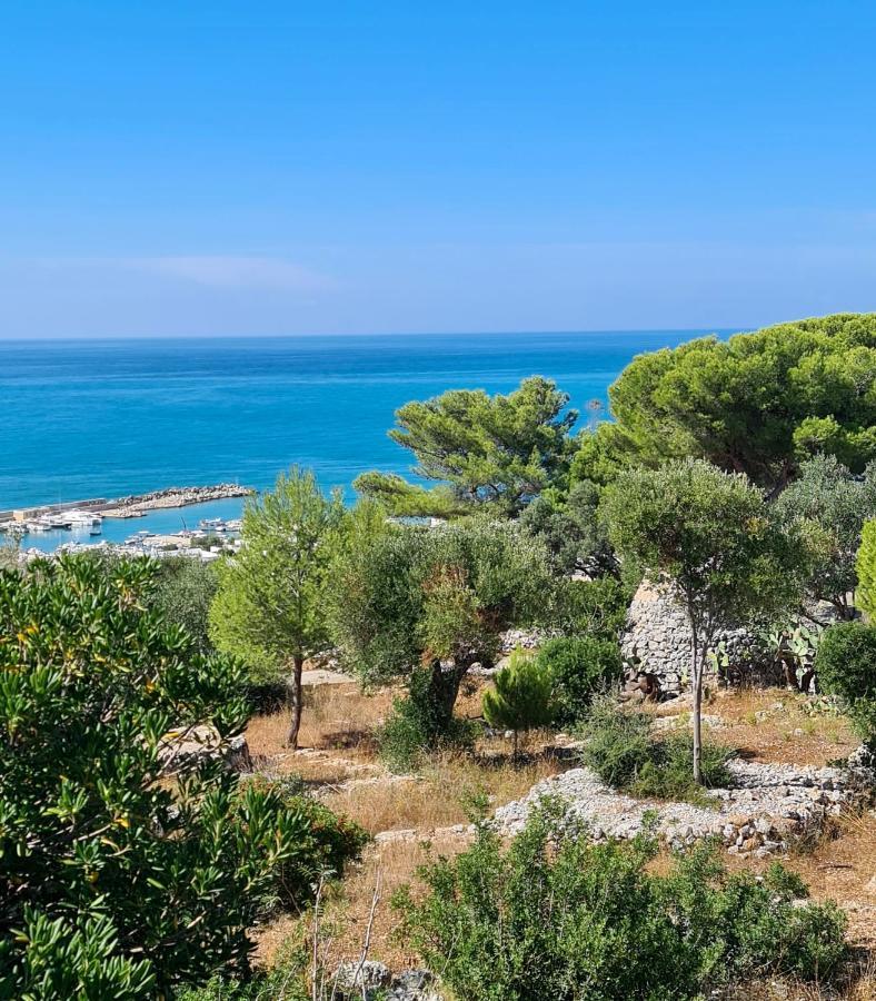 Villa Panoramica Sunset House Торе Вадо Екстериор снимка