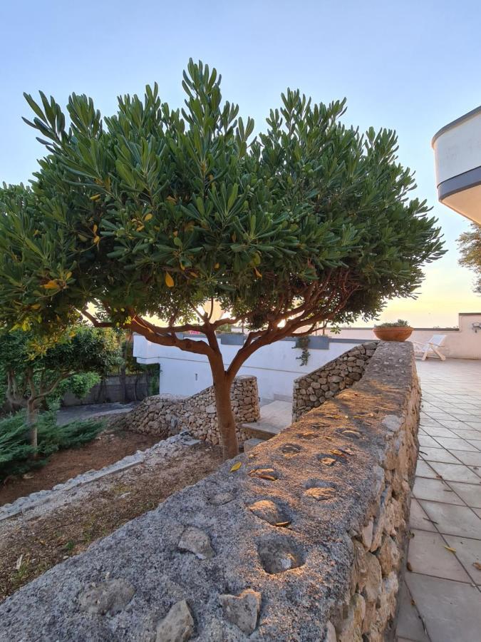Villa Panoramica Sunset House Торе Вадо Екстериор снимка
